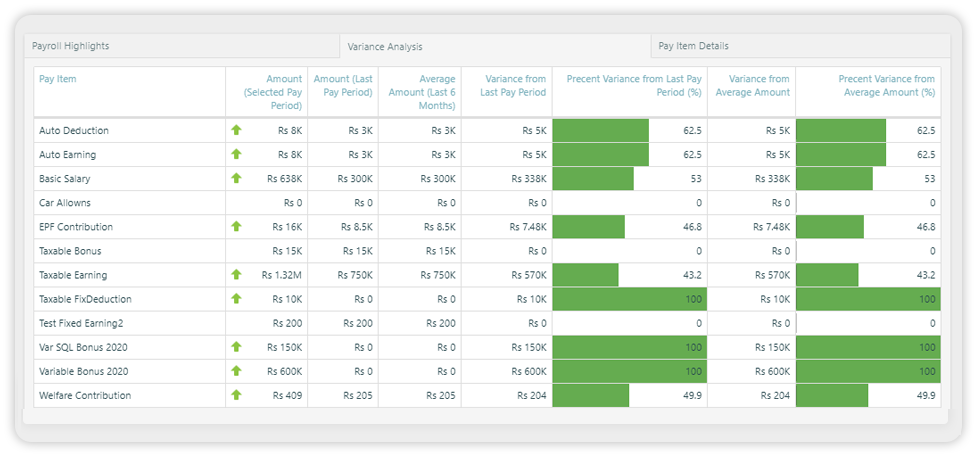 PeoplesHR payroll screens showing pay items and process details